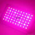 top rated led grow lights,3w cree chip 60X3w LED Grow Lighting with Free Craft F 2