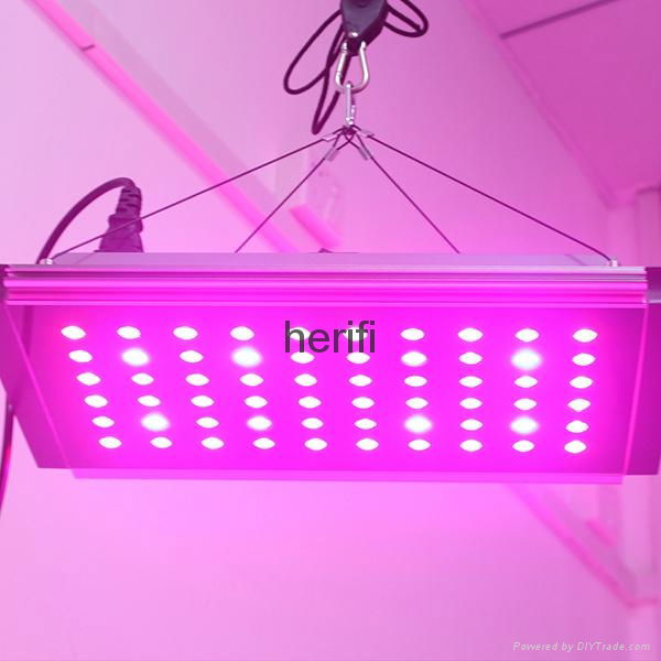 top rated led grow lights,3w cree chip 60X3w LED Grow Lighting with Free Craft F 5