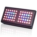 lights for growing plants 60X3w Moudle Design Full Spectrum LED Grow Light 2