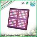 best 240W LED Grow Lights ZS005 120X3w Moudle Design Full Spectrum LED Grow Ligh 4