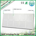 hydroponic systems for sale 900w 100-240v LED Grow light 3