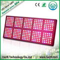 hydroponic systems for sale 900w 100-240v LED Grow light 2