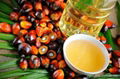 PURE PALM OIL 2