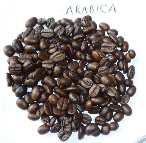 Good Roasted coffee bean in bulk 4