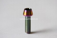 Din912 titanium tamper hex socket bolt