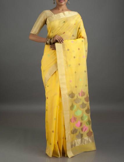 Chanderi Silk Cotton Sarees  3