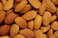 Quality Almond Nuts Kernel