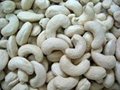 Cashew Nuts W-180-240-320-450