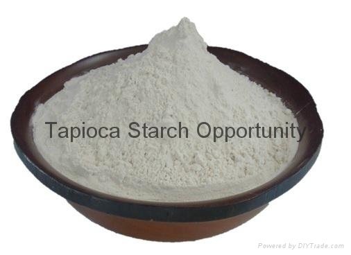 Tapioca starch (industrial grade) 2