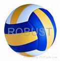 Volleyball Ball 1