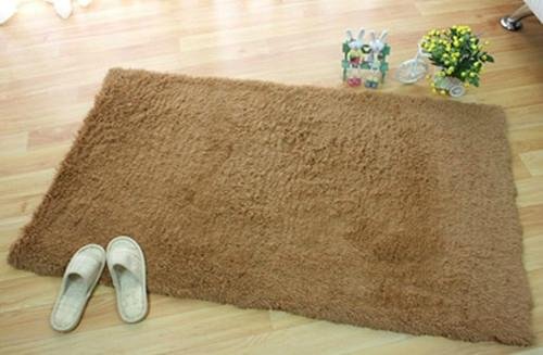 Solution Dyed Polyester Carpet