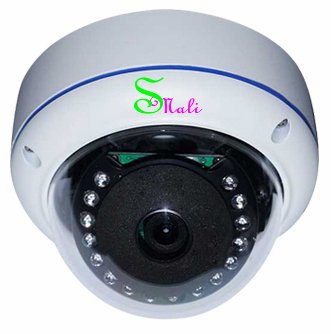 1080P IP Camera Dome Camera CCTV Camera