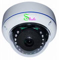 1080P IP Camera Dome Camera CCTV Camera 1