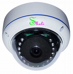 1080P IP Camera Dome Camera CCTV Camera