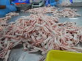 HALAL Frozen Chicken Feet Available for Europe 1