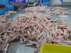 HALAL Frozen Chicken Feet Available for Europe