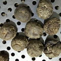 Dried Shiitake Mushroom 1