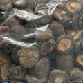 Dried Smooth Shiitake Mushroom 1