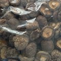 Dried Smooth Shiitake Mushroom