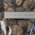 Dried Smooth Shiitake Mushroom 2
