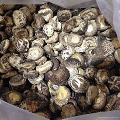 Bulk Dried Tea Flower Shiitake Mushroom