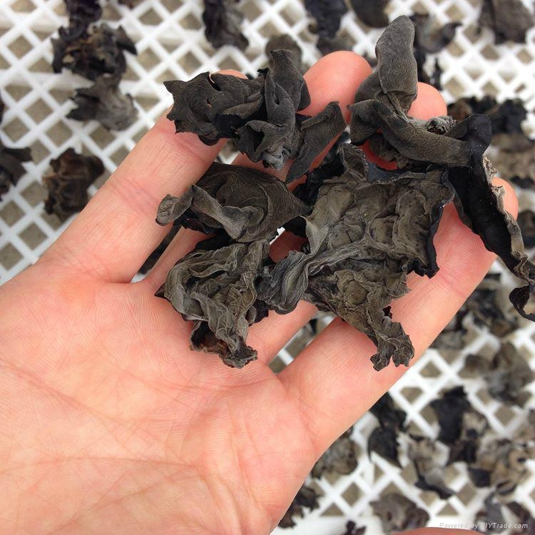 Dried Black Fungus EVER SHINE,NATURAL ORIGIN,GREAT TASTE (China