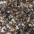Dried Black Fungus 