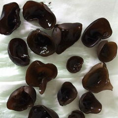 Dried Black Fungus Mushroom