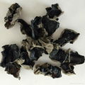 Dried White Back Black Fungus