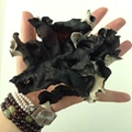 Dried White Back Black Fungus 3