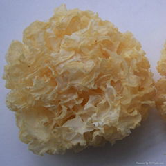 Dried White Fungus