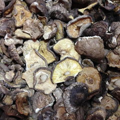 Dried Food Mushroom Shiitake