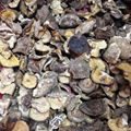 Dried Vegetable Mushroom  1