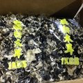 Factory Price Washed Dried White Back Black Fungus 1KGS Pack