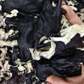 Factory Price Washed Dried White Back Black Fungus 1KGS Pack 1