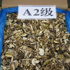 Factory Price Wild Dried Boletus Edulis