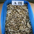 Factory Price Wild Dried Boletus Edulis Porcini Mushroom Slices in Bulk 2