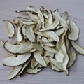 Factory Price Bulk White Dried Shiitake Mushroom Slices without Stem 1