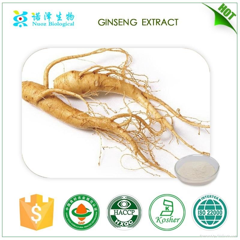 ginseng extract 4