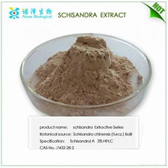 Schisandra Extract