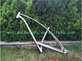 titanium fat  bike frame