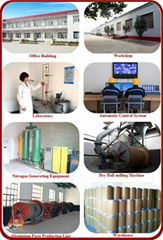 Xinji Guangyuan Metal Powder Co., Ltd