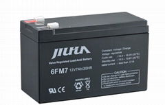 AGM VRLA Battery