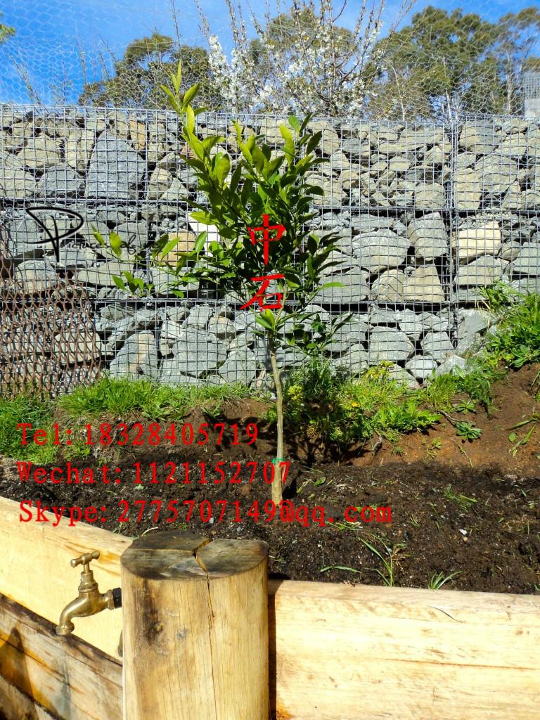 Curved Gabion Baskets Gabion Boxes Prices 90012 Zhongshi (China