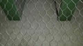 Hot dipped Gabion Basket With Best Price