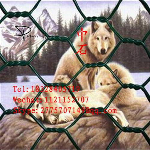 PVC Coated Galvanized Hexagonal Steel Chicken Wire Mesh Netting for Farm,Coops ( 5