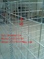 Low price  electro galvanized pvc coated farming hexagonal cages 5