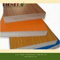 Melamine Faced Plywood for Furniture