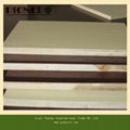 Fancy Colorful Melamine Plywood