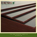 Brown Film Faced Plywood with Best Quality 4